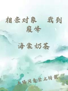 相亲对象懆我到巅峰